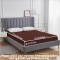 Sale Active 6 x 6 Feet King Size Waterproof Terry Cotton Mattress Protector – 72 x 72 Inches, Brown | Hypoallergenic & Breathable